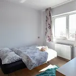 Comfort Alpha Apartament