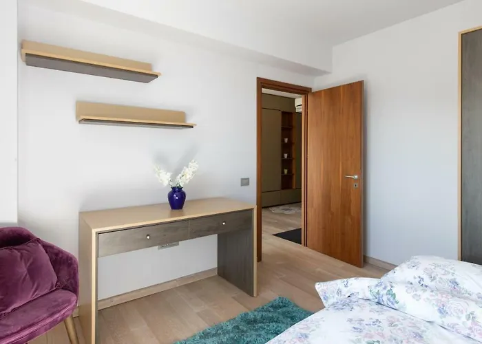 Comfort Alpha Brasov